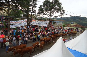 Foto - Festa do carro de boi